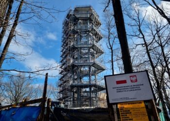 Otwarcie wieży widokowej w Parku Sobieskiego w Wałbrzychu