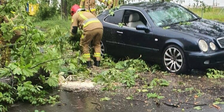 Burza nad Wałbrzychem. Drzewo runęło na auto.