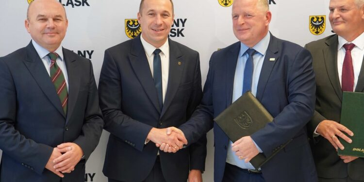 TIRy na tory. Pociągi wrócą na trasę Strzelin – Łagiewniki